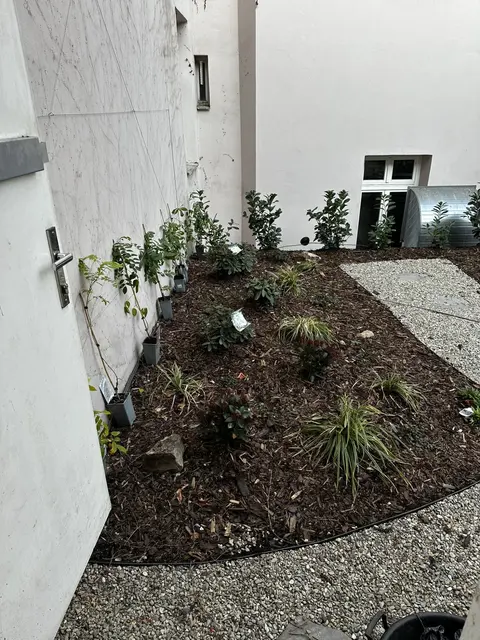 Revitalizace zeleně bytového domu v centru Prahy